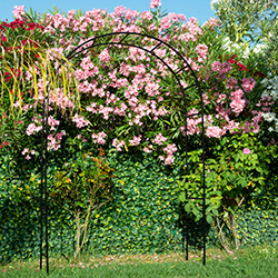 3122 - Arche tube rond-1 250PX.jpg
