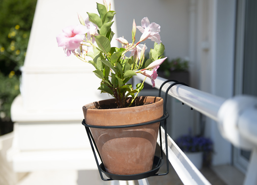 sliderproduit-essentis-9130