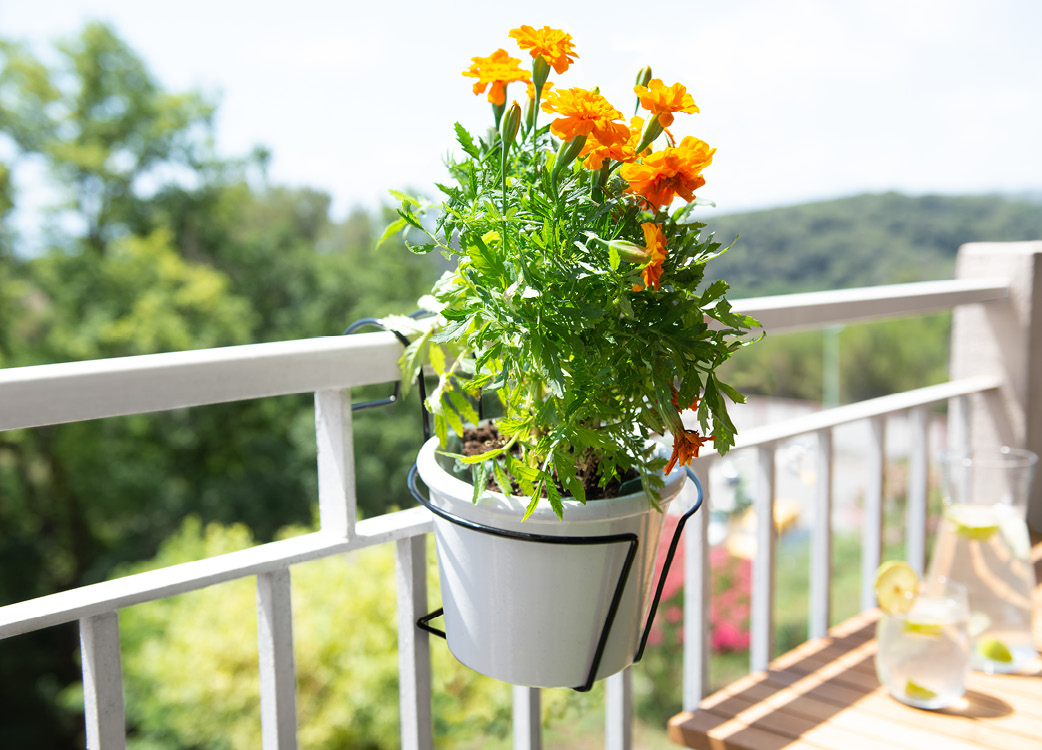 sliderproduit-portepot-9135