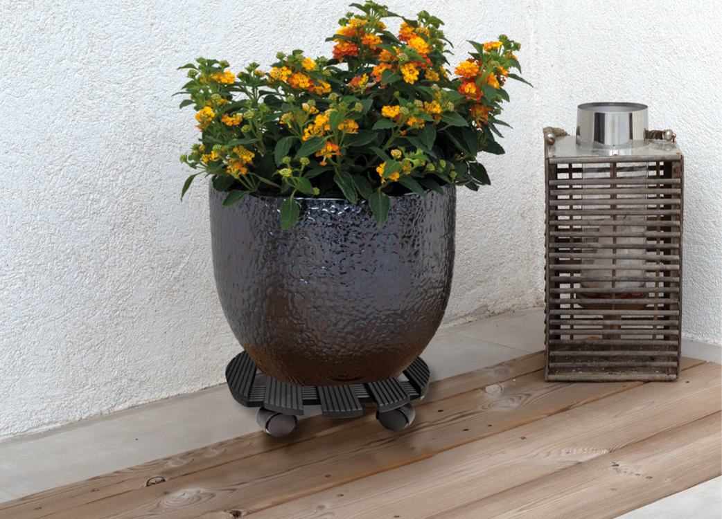 sliderproduit-rouleplantes-8410