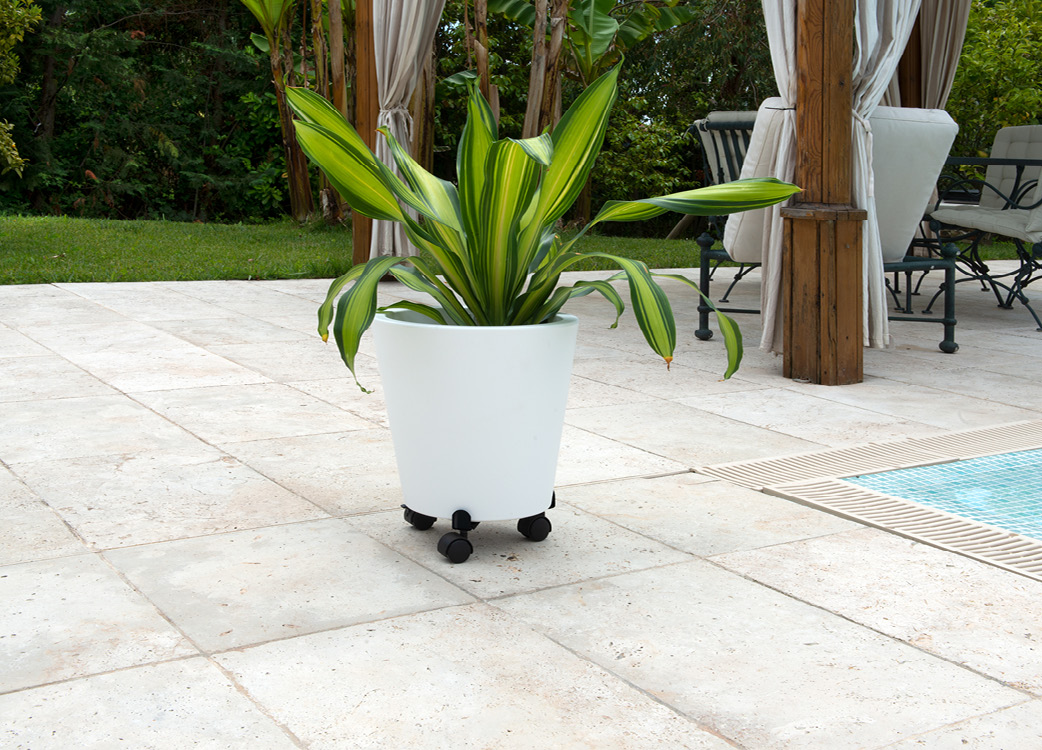 sliderproduit-rouleplantes-9171