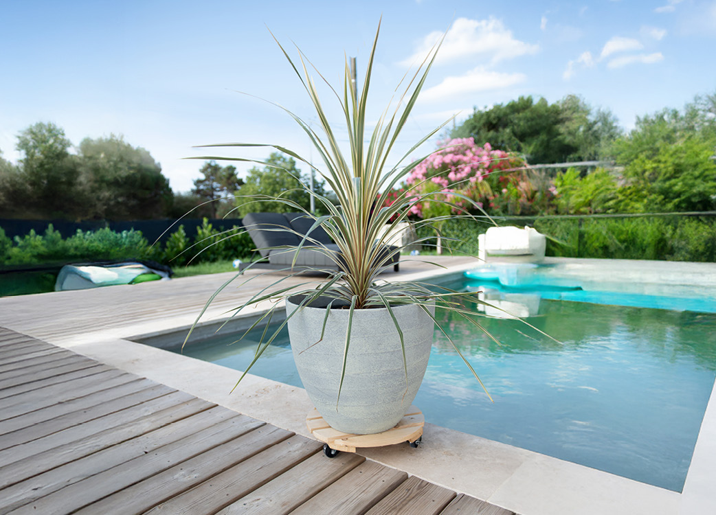 sliderproduit-rouleplantes-9172