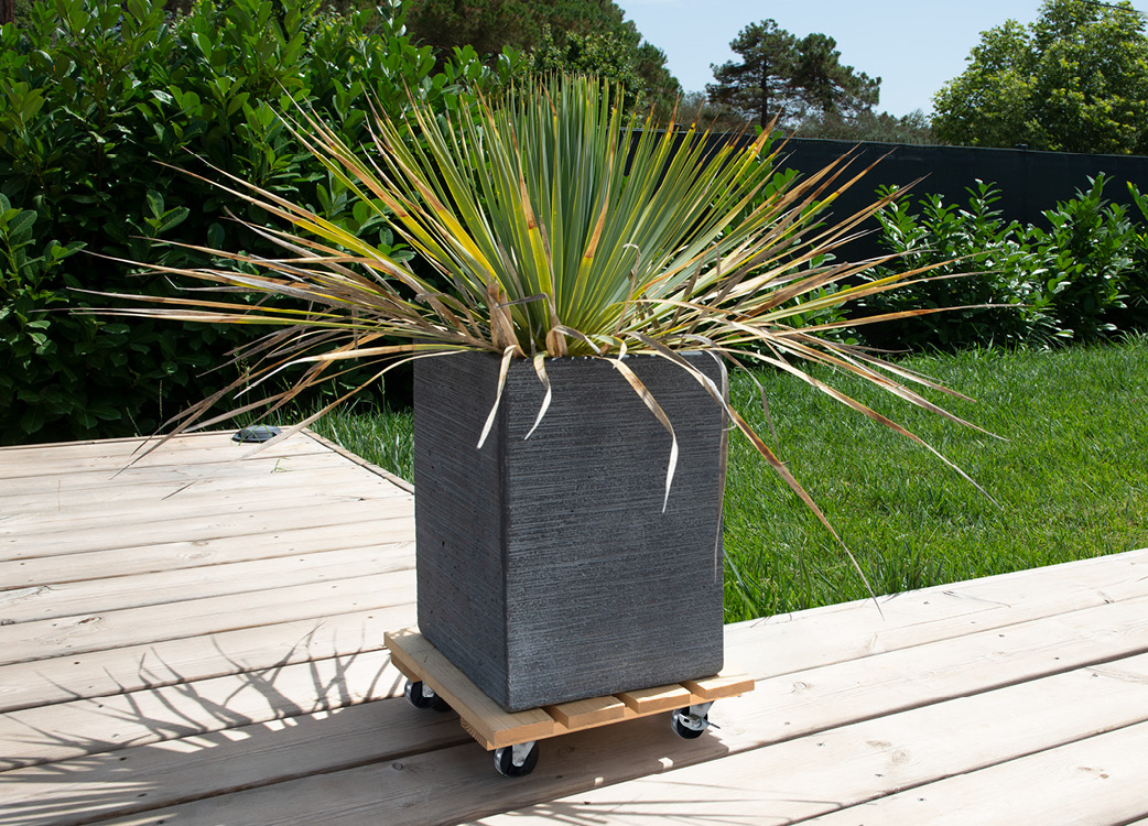 sliderproduit-rouleplantes-9173