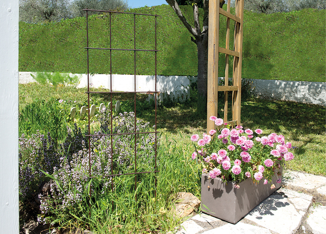 sliderproduit-treillage-3786.jpg